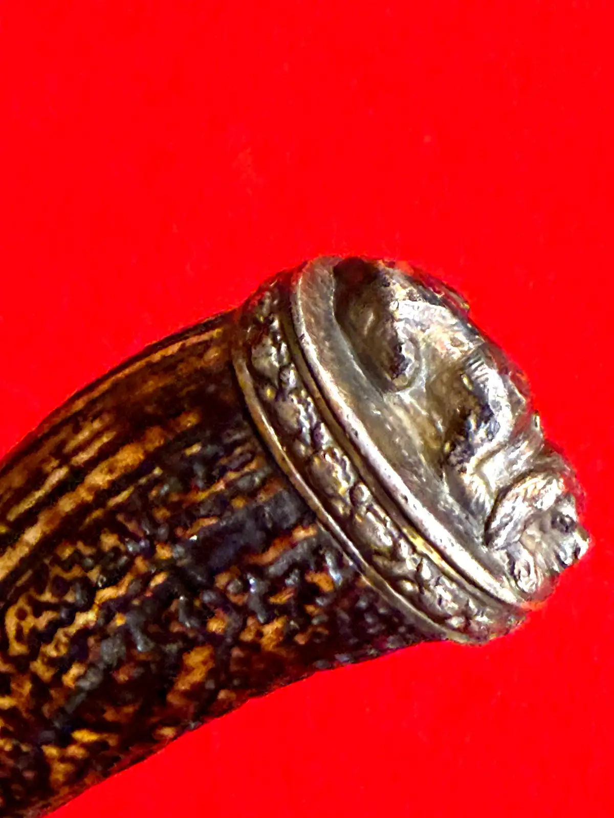 German 19th Century Long Hunting Sword - View 23
