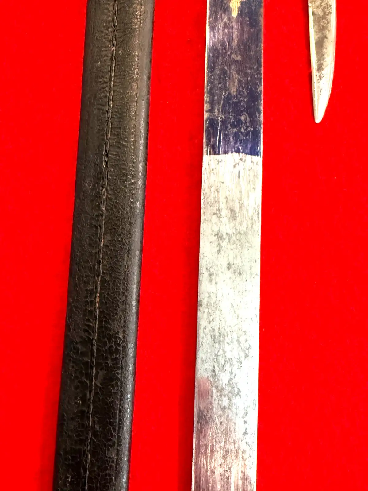 German 19th Century Hirschfänger Hunting Sword - View 11