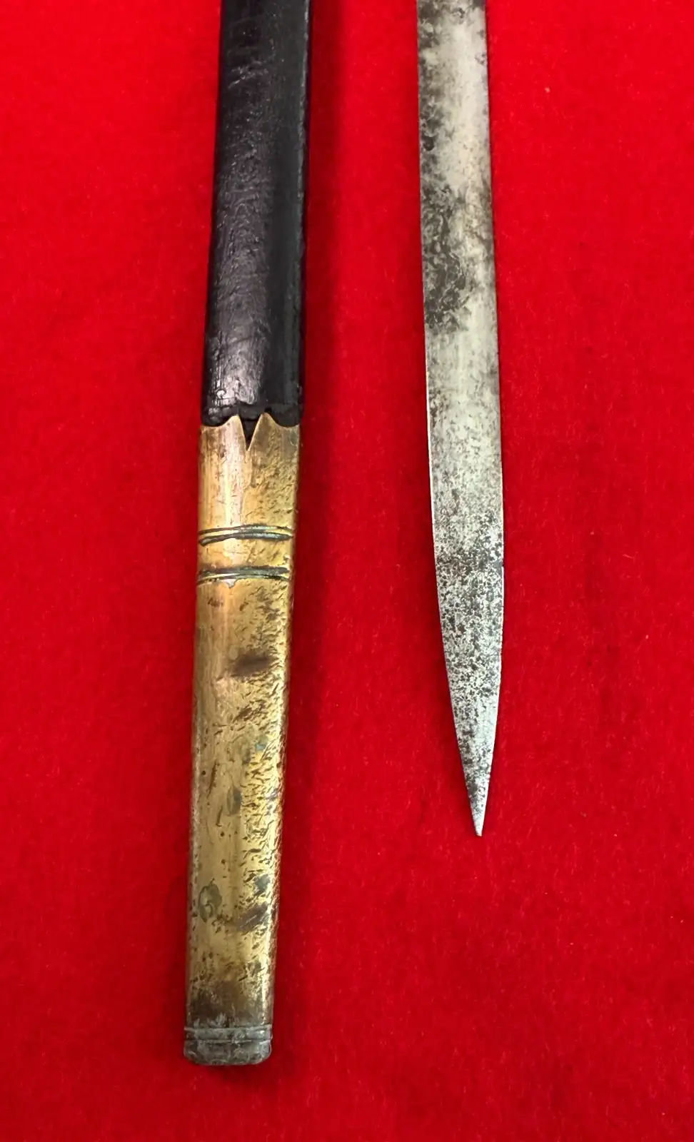 Original Austro-Hungarian Lionhead Court Sword - View 5
