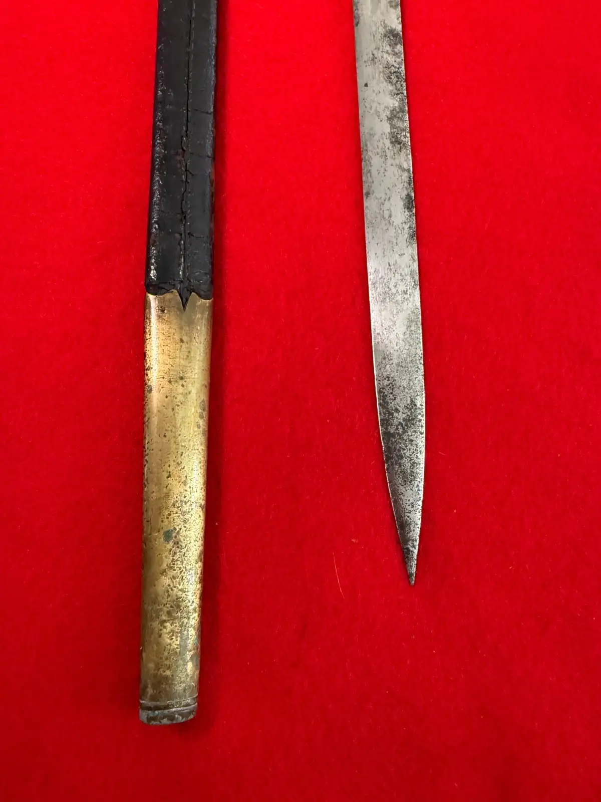 Original Austro-Hungarian Lionhead Court Sword - View 6