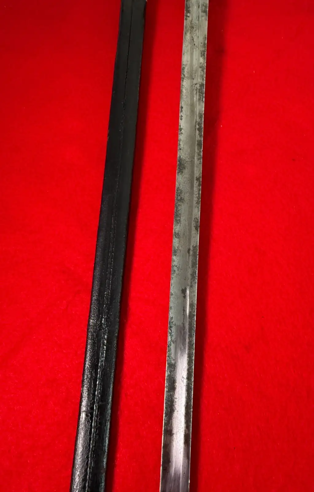 Original Austro-Hungarian Lionhead Court Sword - View 7