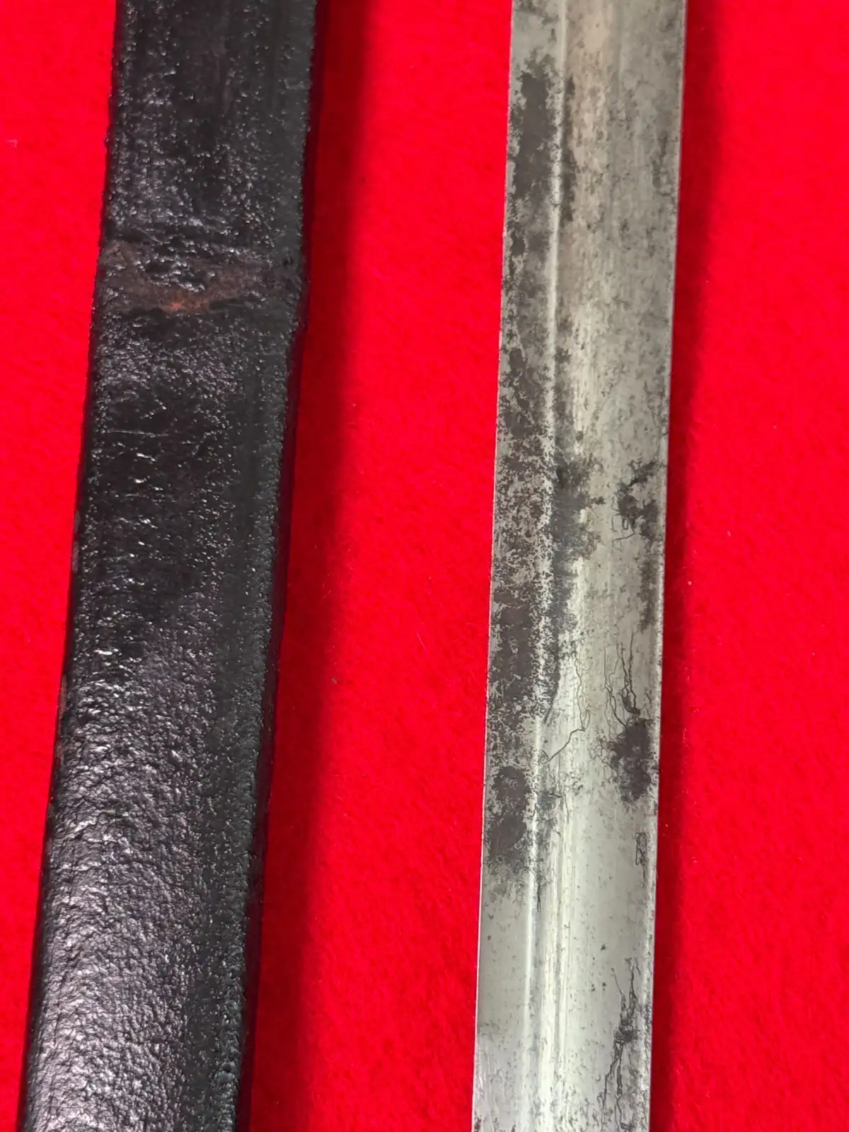 Original Austro-Hungarian Lionhead Court Sword - View 8