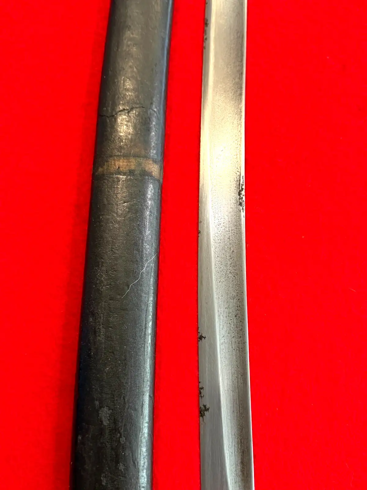 Russian Imperial M1881 Cavalry Shashka - View 4