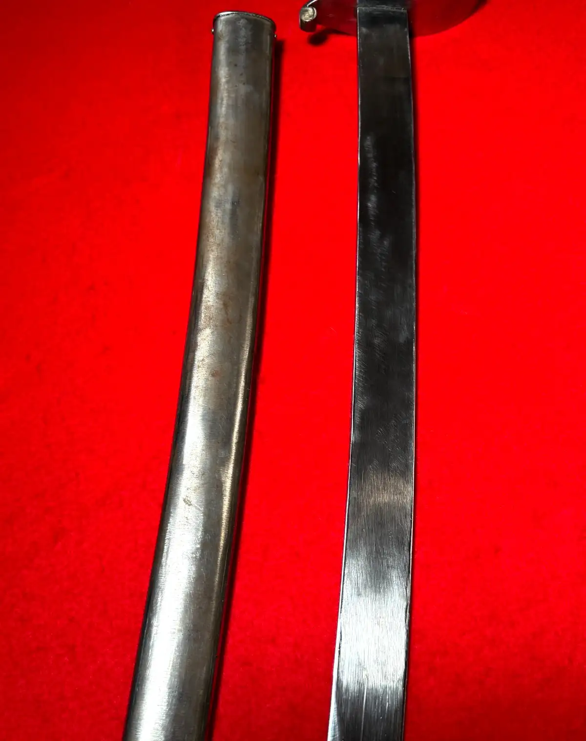 Argentine M1898 Cavalry Service Saber - View 6
