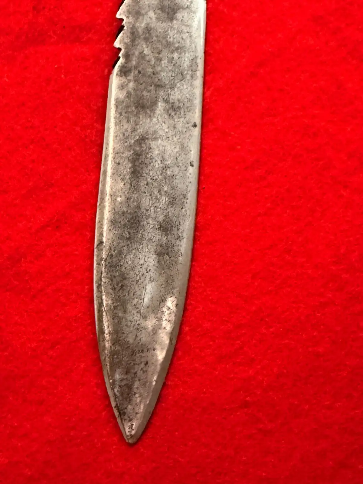 German Swiss 19th Century Sawback Short Sword - View 3