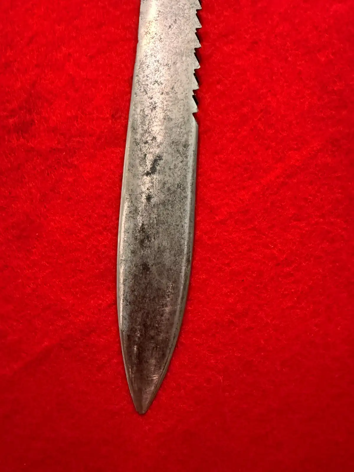 German Swiss 19th Century Sawback Short Sword - View 4