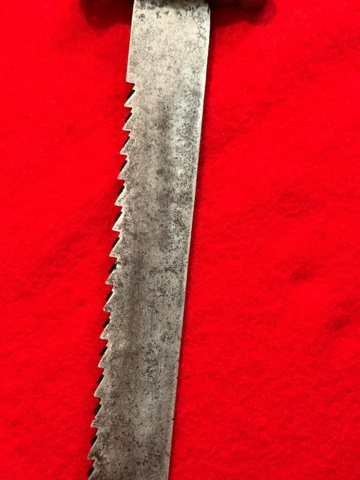 German Swiss 19th Century Sawback Short Sword - View 5