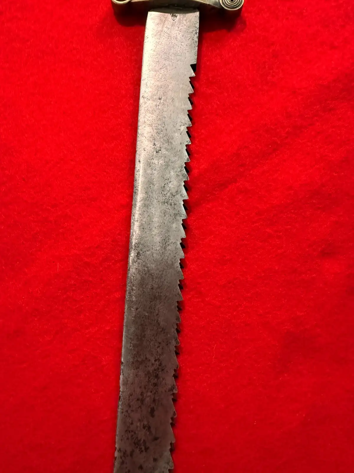 German Swiss 19th Century Sawback Short Sword - View 6