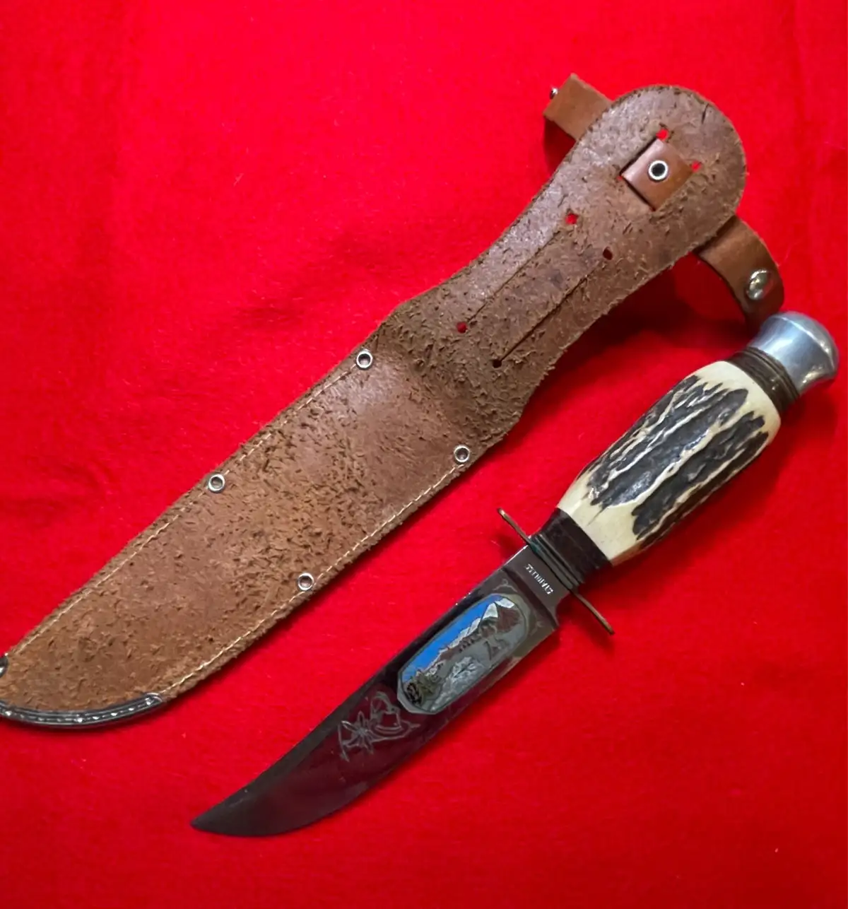 German Solingen 1960s Stag Hunting Knife - View 5