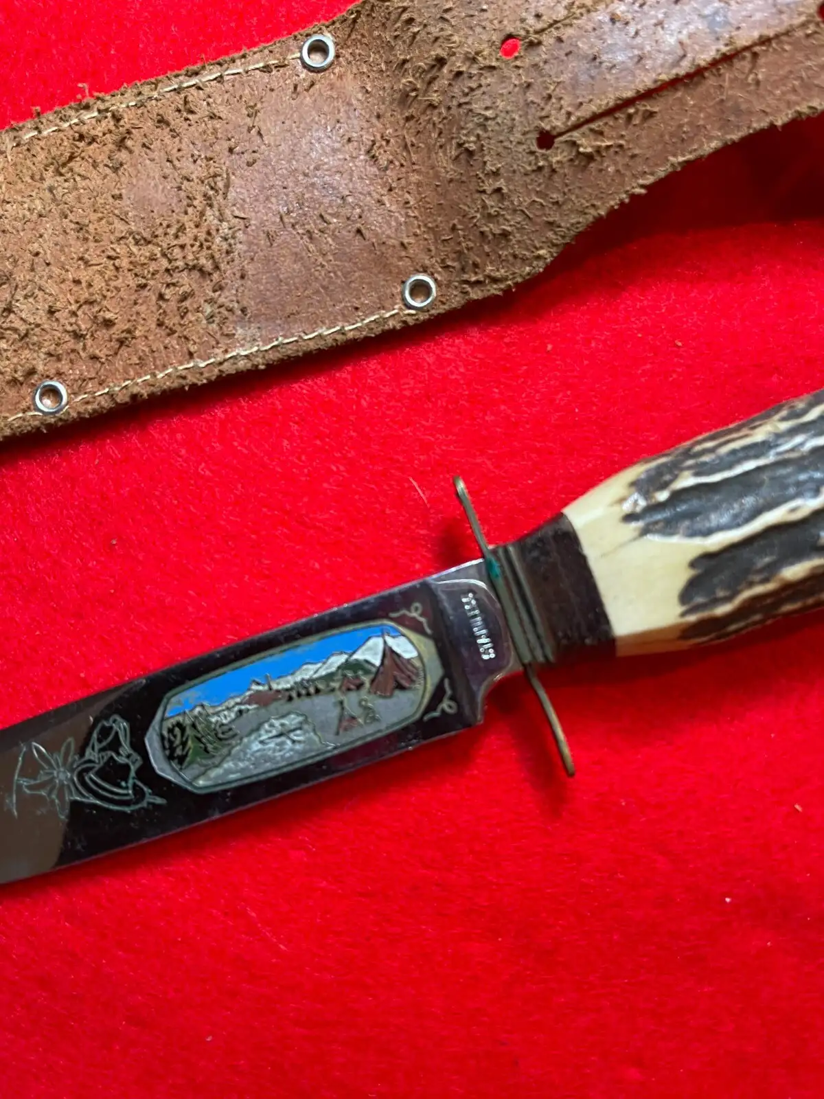 German Solingen 1960s Stag Hunting Knife - View 6