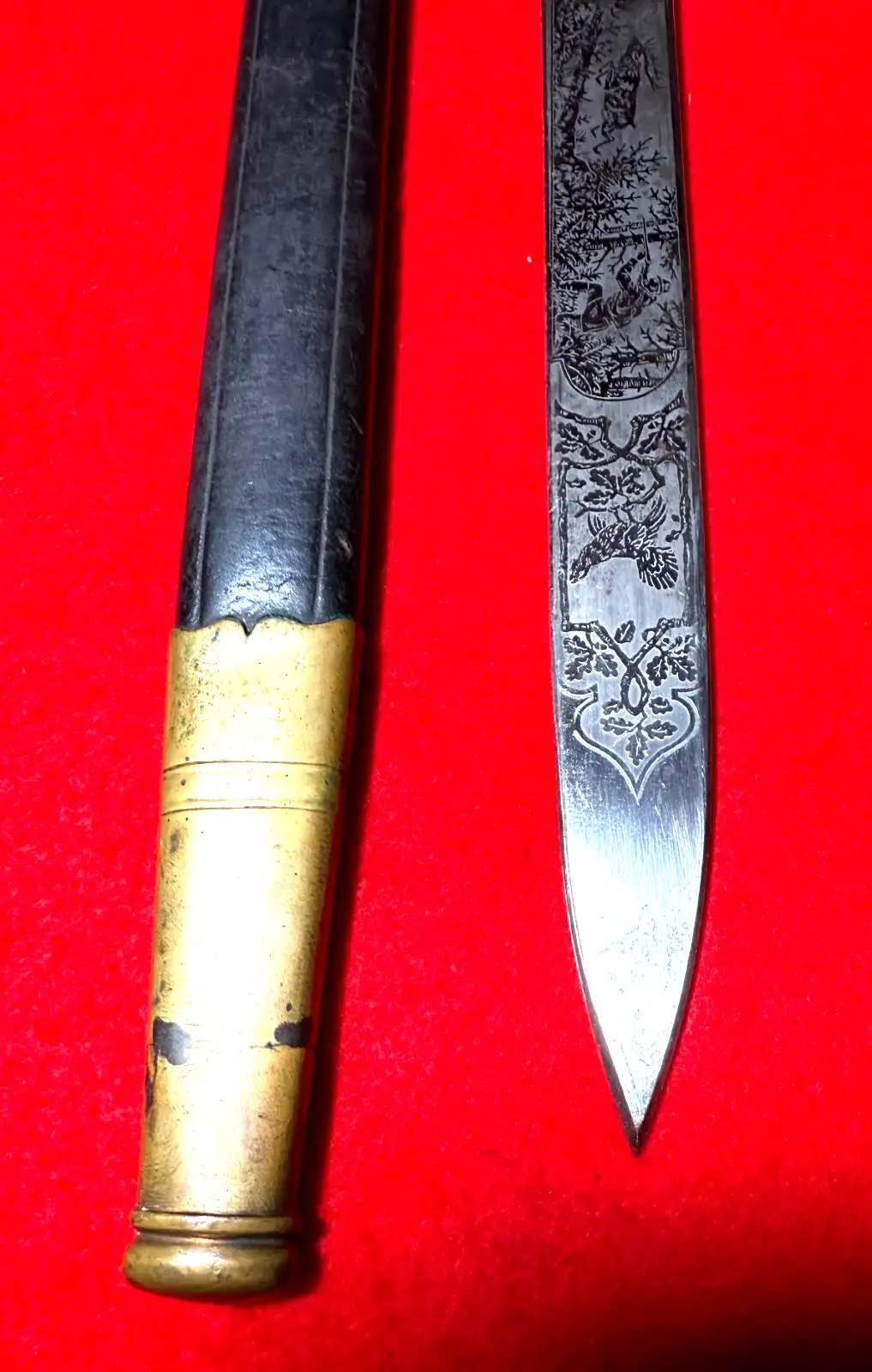 German Imperial Etched Forestry Cutlass - View 4