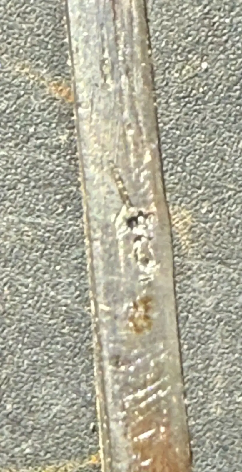 RARE Antique European Short Sword hunting Dagger Knife Saw - 11