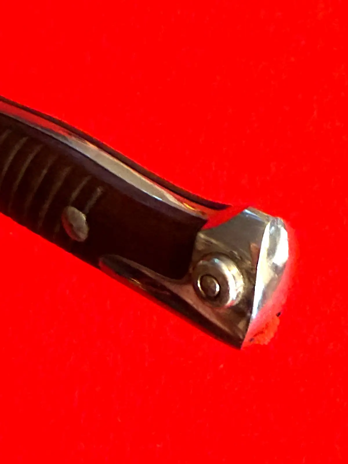 German WW1 Model 1898 Engraved Bayonet - View 19